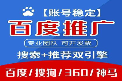 搜索引擎竞价推广实战：行业领先企业的成功秘诀